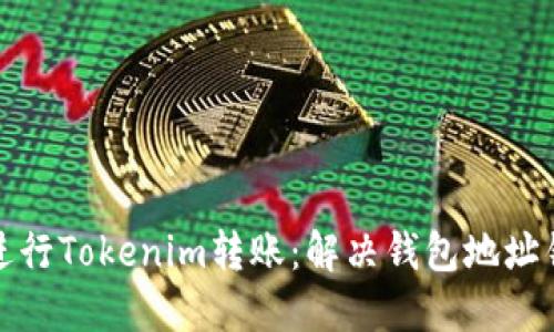 如何安全进行Tokenim转账：解决钱包地址错误的问题
