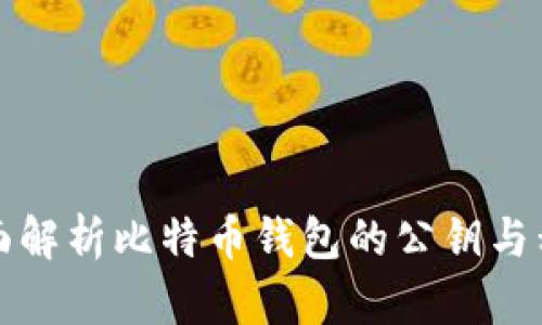 全面解析比特币钱包的公钥与私钥