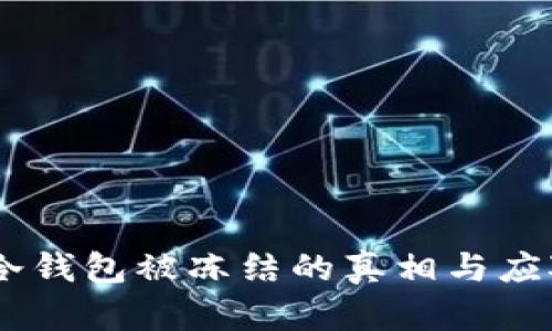 USDT冷钱包被冻结的真相与应对策略
