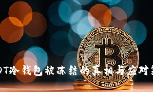 USDT冷钱包被冻结的真相与应对策略