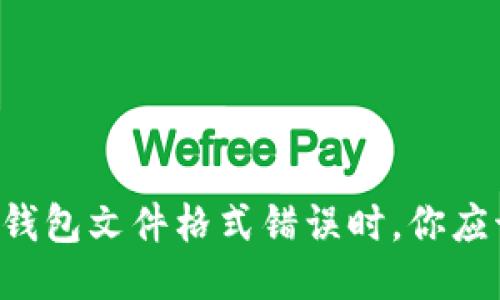 当比特币钱包文件格式错误时，你应该怎么办？