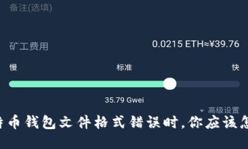 当比特币钱包文件格式错误时，你应该怎么办？