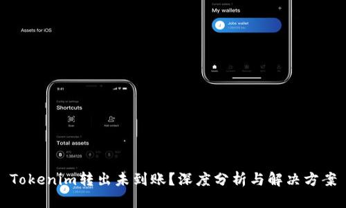 Tokenim转出未到账？深度分析与解决方案