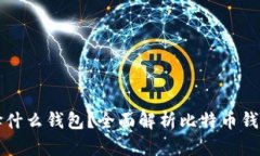 买比特币后应该选择什么