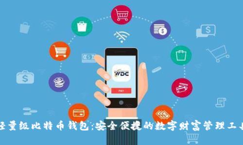轻量级比特币钱包：安全便捷的数字财富管理工具