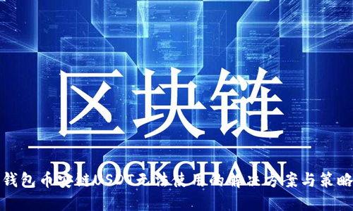 钱包币安链USDT无法使用的解决方案与策略