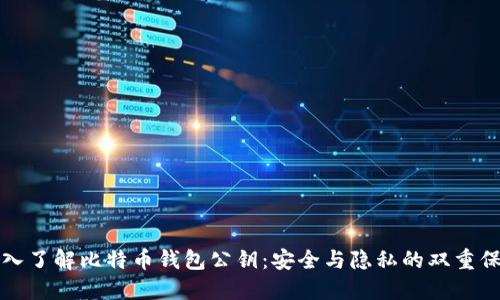 深入了解比特币钱包公钥：安全与隐私的双重保障