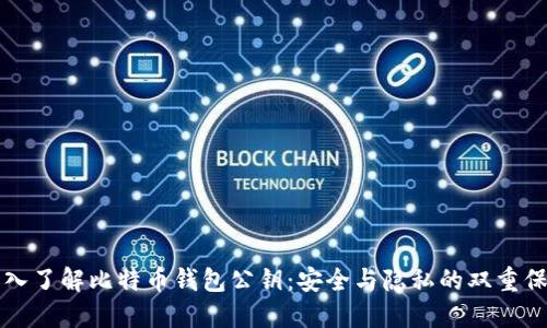深入了解比特币钱包公钥：安全与隐私的双重保障