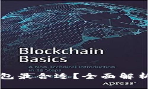 比特币充值时选择哪种钱包最合适？全面解析比特币钱包的类型与特点