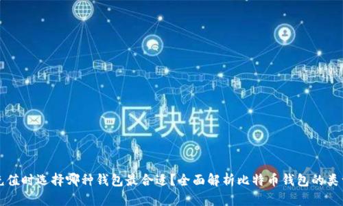 比特币充值时选择哪种钱包最合适？全面解析比特币钱包的类型与特点