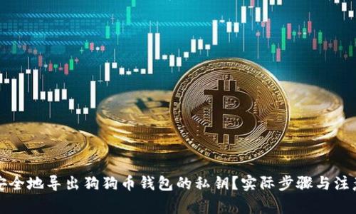 如何安全地导出狗狗币钱包的私钥？实际步骤与注意事项