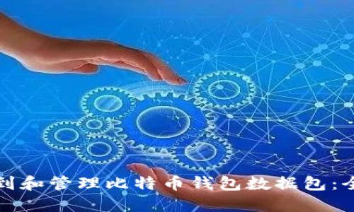 如何找到和管理比特币钱包数据包：全面指南