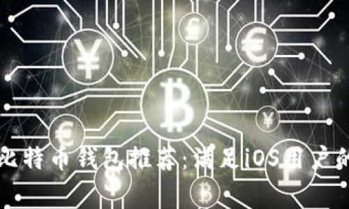 常用比特币钱包推荐：满足iOS用户的需求