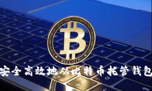 如何安全高效地从比特币托管钱包提现