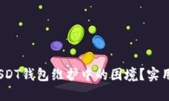  如何处理USDT钱包维护中的