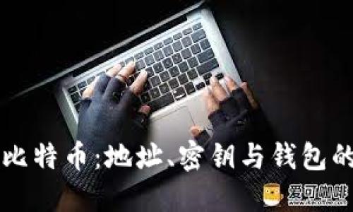 深入理解比特币：地址、密钥与钱包的实用指南
