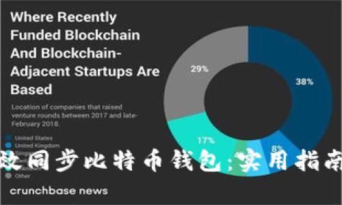 如何有效同步比特币钱包：实用指南与技巧