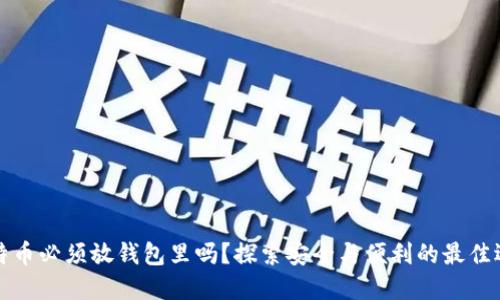比特币必须放钱包里吗？探索安全与便利的最佳选择