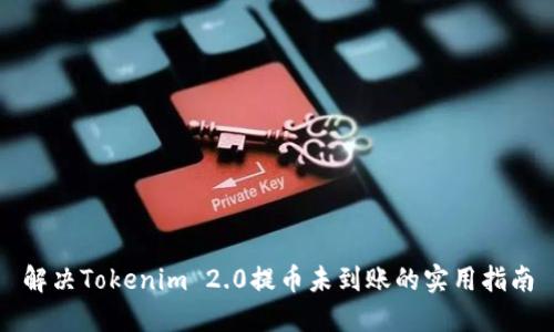 解决Tokenim 2.0提币未到账的实用指南