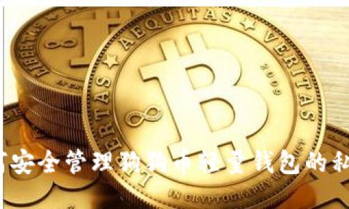 如何安全管理狗狗币轻量钱包的私钥？