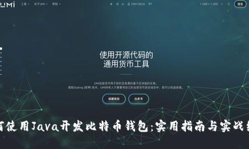 如何使用Java开发比特币钱包：实用指南与实战经验