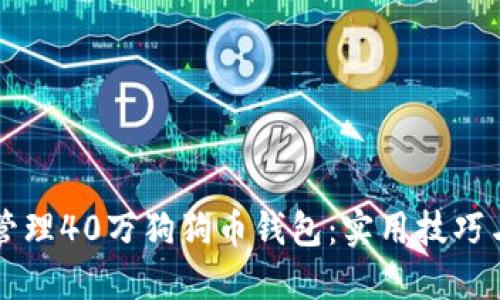 如何成功管理40万狗狗币钱包：实用技巧与必知细节