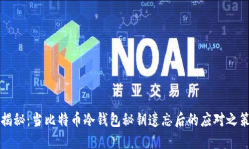 揭秘：当比特币冷钱包秘钥遗忘后的应对之策