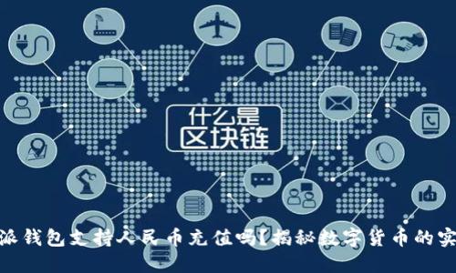 : 比特派钱包支持人民币充值吗？揭秘数字货币的实用价值