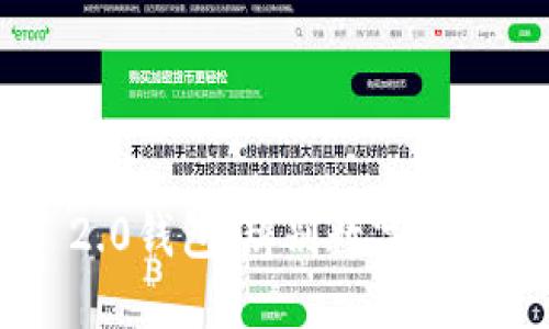 探索Tokenim 2.0钱包：辨别数字货币的价值与风险