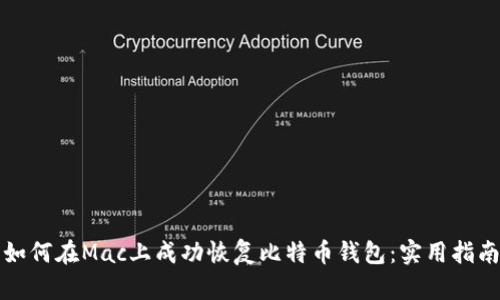 如何在Mac上成功恢复比特币钱包：实用指南