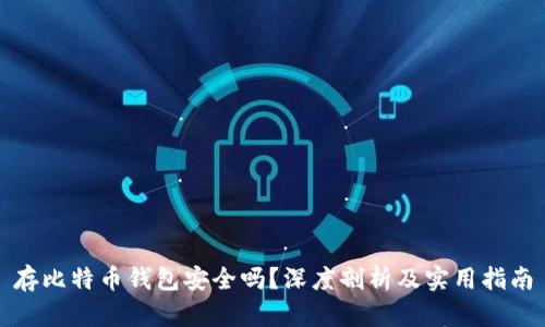 存比特币钱包安全吗？深度剖析及实用指南