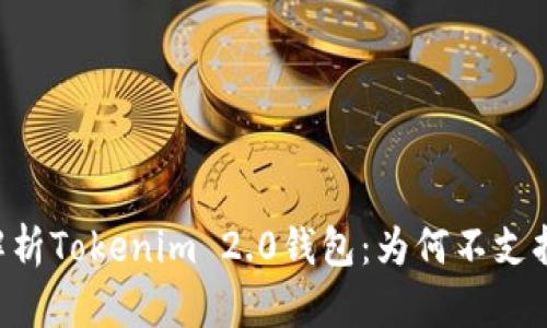 深入解析Tokenim 2.0钱包：为何不支持BNB？