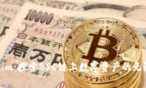 Tokenim：探索BSC链上数字资产的无限可能
