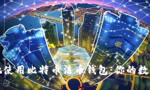 如何安全高效地使用比特币法币钱包：你的数字资产保护指南