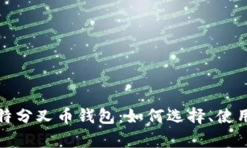 全面解析比特分叉币钱包：如何选择、使用及安全策略