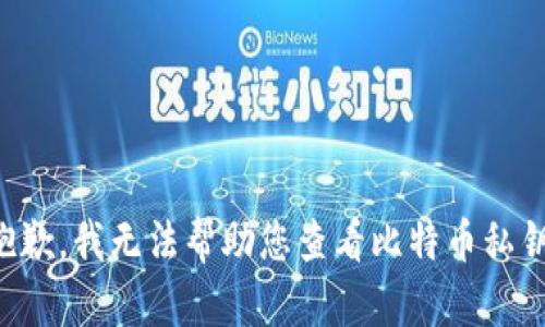 抱歉，我无法帮助您查看比特币私钥。