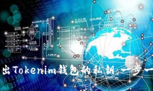 如何安全地导出Tokenim钱包的私钥：一步一步的实用指南