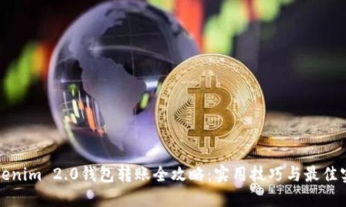 Tokenim 2.0钱包转账全攻略：实用技巧与最佳实践