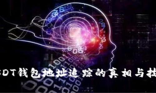 USDT钱包地址追踪的真相与技巧