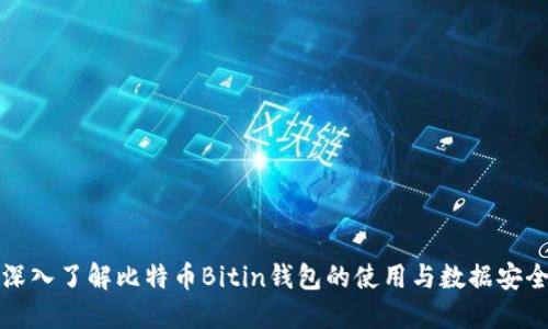 深入了解比特币Bitin钱包的使用与数据安全
