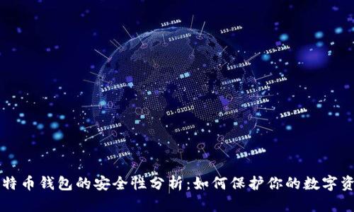 比特币钱包的安全性分析：如何保护你的数字资产