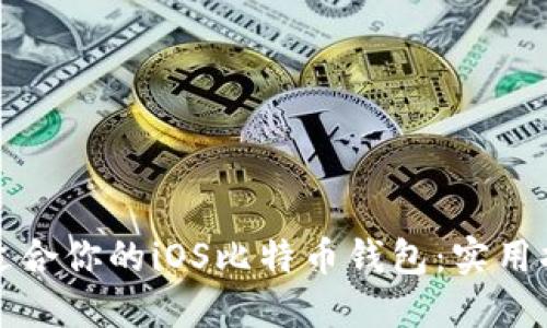 如何选择适合你的iOS比特币钱包：实用指南与推荐