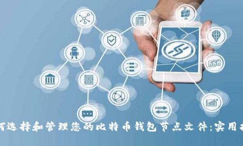 如何选择和管理您的比特币钱包节点文件：实用指南