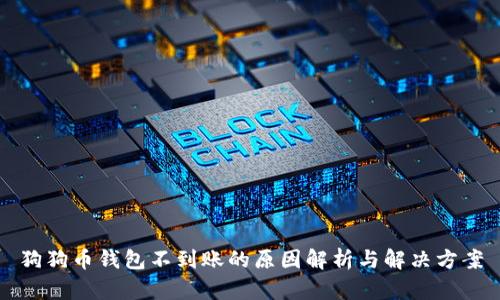狗狗币钱包不到账的原因解析与解决方案