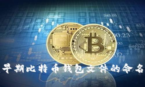 追溯早期比特币钱包文件的命名历史