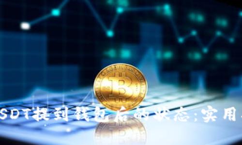 如何查看USDT提到钱包后的状态：实用指南与技巧