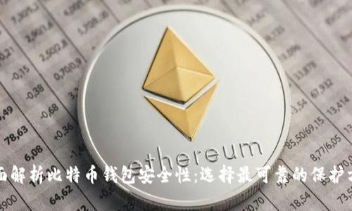 全面解析比特币钱包安全性：选择最可靠的保护方法