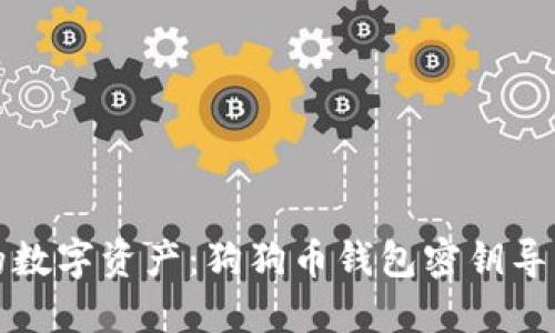 解锁您的数字资产：狗狗币钱包密钥导出全教程