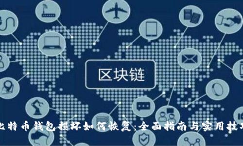 比特币钱包损坏如何恢复：全面指南与实用技巧