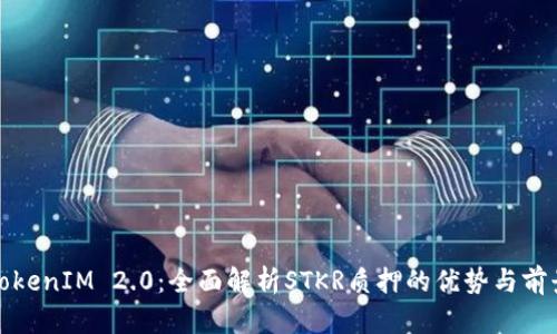 TokenIM 2.0：全面解析STKR质押的优势与前景